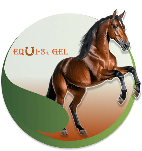 Oval Equi 3 Gel